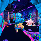 Niagara Falls Fun Zone - Four Points by Sheraton Niagara Falls Hotel
